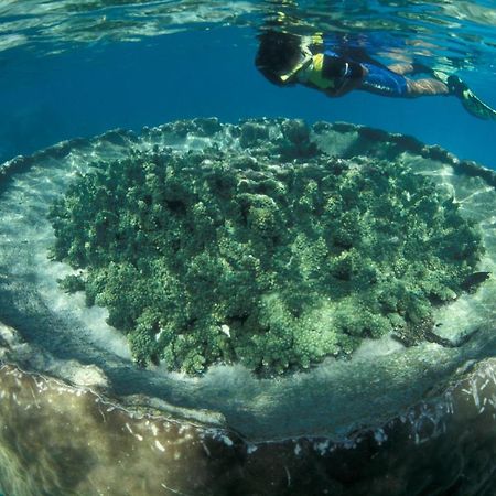 Sal Salis Ningaloo Reef 호텔 엑스머스 외부 사진