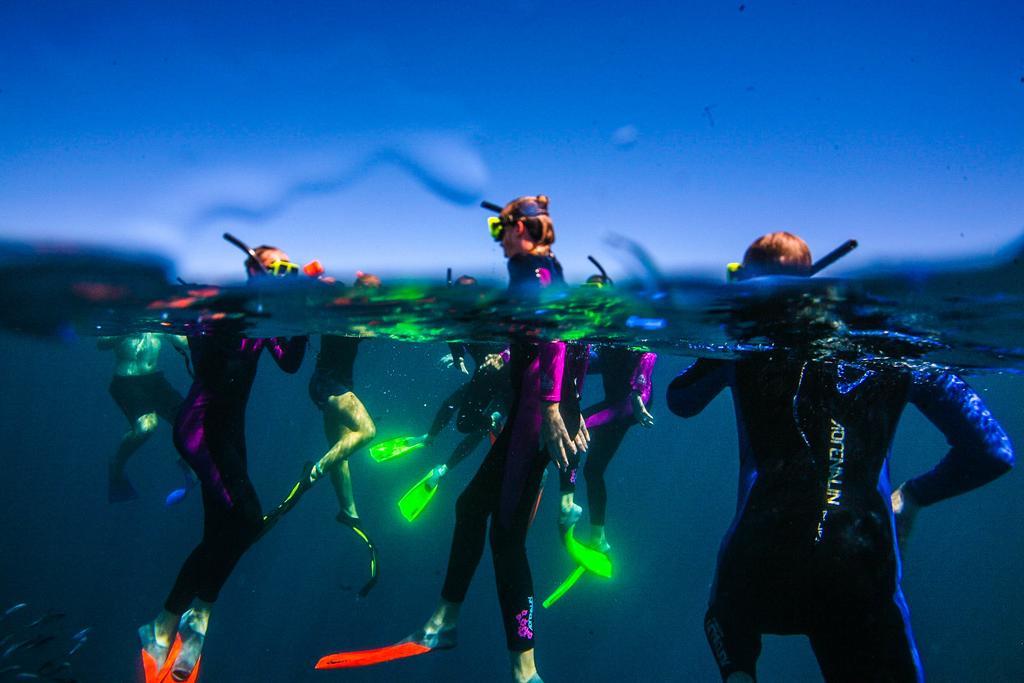Sal Salis Ningaloo Reef 호텔 엑스머스 외부 사진