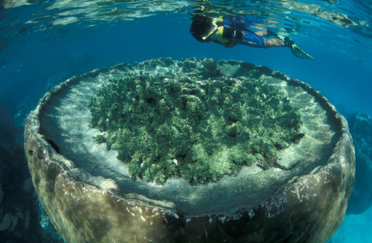 Sal Salis Ningaloo Reef 호텔 엑스머스 외부 사진